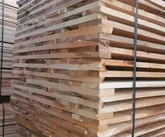 Lipa - lipova daska - 3