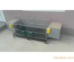 Kavezi za koke, piliće i zečeve - 7