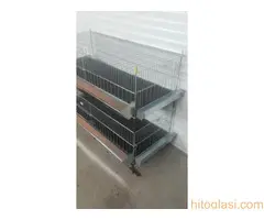 Kavezi za koke, piliće i zečeve - 8