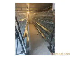 Kavezi za koke, piliće i zečeve - 10