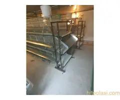 Kavezi za koke, piliće i zečeve - 11