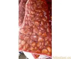 Kalemljeni kesten - prinos od 5 do 7 t po hektaru - 5