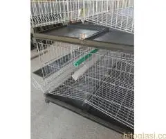 Kavezi za koke nosilje - proizvodnja i prodaja kaveza - 6