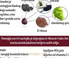 Rain Soul -snaga semena - 12