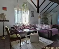 JOGA LICA BEOGRAD - 5