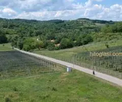 Prodajem plantažu maline i imanje u Ripnju - 2