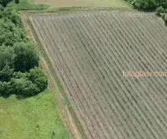 Prodajem plantažu maline i imanje u Ripnju - 3