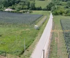 Prodajem plantažu maline i imanje u Ripnju - 4