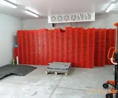 Prodajem plantažu maline i imanje u Ripnju - 7