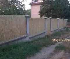 Trska za ograde,dvorišta,letnjikovce,bašte - 3