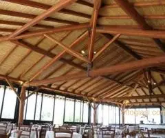 Trska za ograde,dvorišta,letnjikovce,bašte - 5