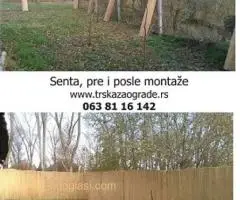 Trska za ograde,dvorišta,letnjikovce,bašte - 6