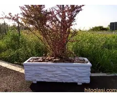 Betonske žardinjere - 3