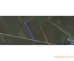 Njiva - Ćuprijski put, Gilje, Mijatovac - magistalni put Jagodina-Ćuprija  - HITNO - 3