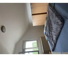 Stan na dan Beograd (OSTRUŽNICA) - 2