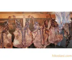 Ovčija pršuta-stelja sa Pešteri - 2