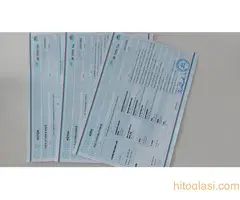 Stenci Njufaundlendera - 4