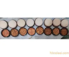 Avon kozmetika i parfemi - 8