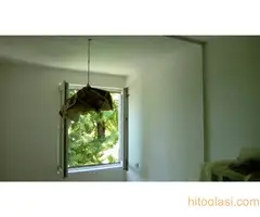 Higijensko krečenje u poludisperziji ili disperziji - 2