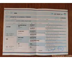 Prodaja Američkih staforda - 7