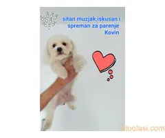 Maltezer za parenje - 2