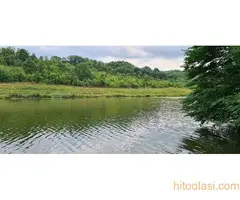 Plac u blizini jezera - 6