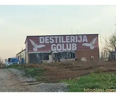 Digitalna štampa i štampa velikih formata - 6