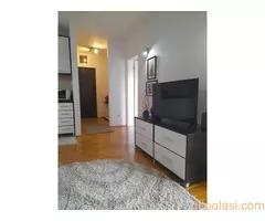 Novogradnja apartmanski opremljen ul.VojStepe kod Saobrac.fak.-Vlasnik - 9