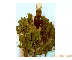 Ulje Macerat Koprive - 2