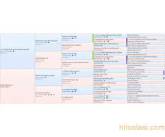 Engleski buldog internacionalni sampion slobodan za parenje - 4