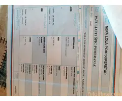 Vrhunsko leglo cistokrvnih patuljastih pomeranaca tzv boo mede - 13