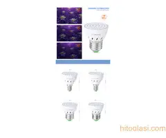 Sijalica za biljke - 4