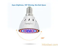 Sijalica za biljke - 8