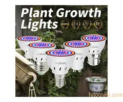 Sijalica za biljke - 9