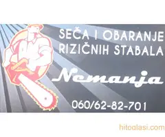 Seča Visokorizičnih stabala - 2