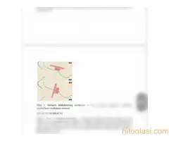 Diplomski, maturski, seminarski, prezentacije - 5