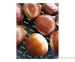 Rezervacije u toku za jesenju sadnju voćnih sadnica - 7