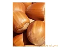 Rezervacije u toku za jesenju sadnju voćnih sadnica - 11