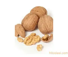 Rezervacije u toku za jesenju sadnju voćnih sadnica - 13