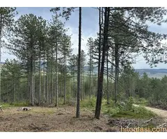 Na prodaju zemljiste ukupne povrsine 80 ari, Tometino polje - Divčibare - 4