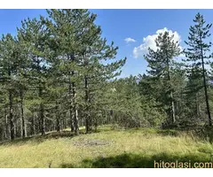 Na prodaju zemljiste ukupne povrsine 80 ari, Tometino polje - Divčibare - 6