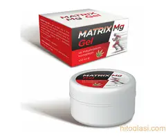 Zdravlje iz prirode Moć Preventive - 4