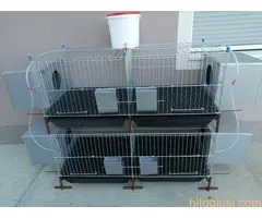 Kavezi za koke, pilice i zeceve - 4