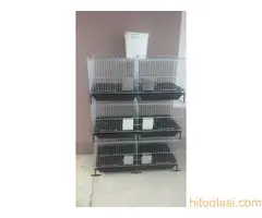 Kavezi za koke, pilice i zeceve - 5