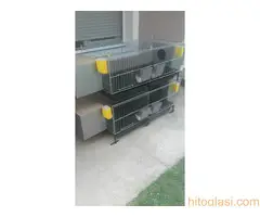 Kavezi za koke, pilice i zeceve - 6