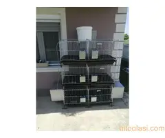 Kavezi za koke, pilice i zeceve - 7