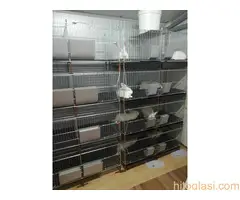 Kavezi za koke, pilice i zeceve - 9