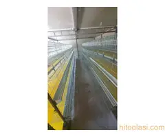 Kavezi za koke, pilice i zeceve - 10