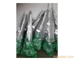 Vocne  sadnice od proizvodjaca za 2025 godinu - 3