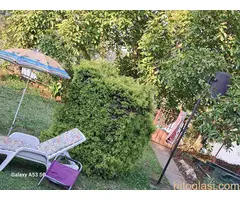 Izdaje se apartman-vikendica na Srebrnom jezeru - 5